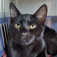 Photo of Jayson