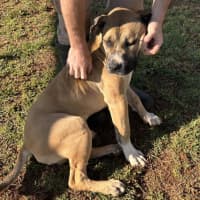 Photo of Archer Tamblyn