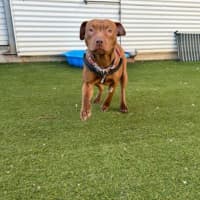 Photo of Darcie