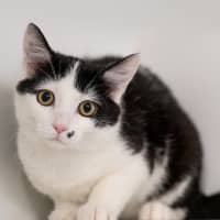 Photo of Silas