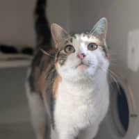 Photo of Millie