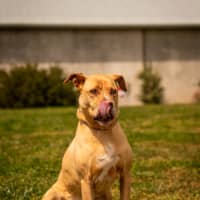 Photo of Max