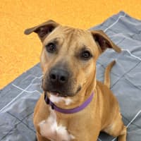 Photo of Cali