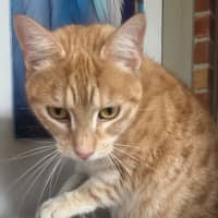 Photo of Arna