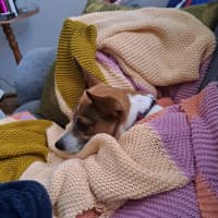 Photo of Cutie Trixie 