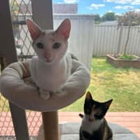 Photo of Tansy & Petal 