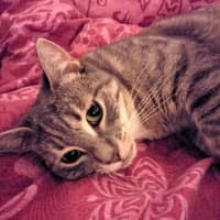Photo of Mixie