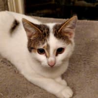 Photo of Kimmie 🌺