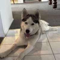 Photo of Karsha (Kay)