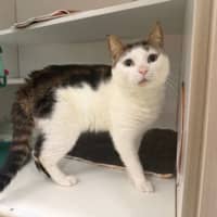 Photo of Klaus