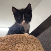 Photo of Molly
