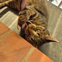 Photo of Jolene!👢