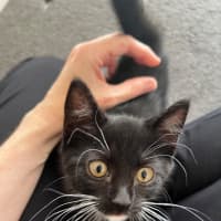 Photo of Asher