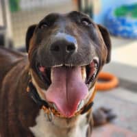 Photo of 🦆 Ducky 6839 🦆