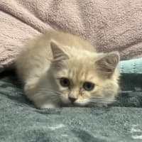 Photo of Rosemarie
