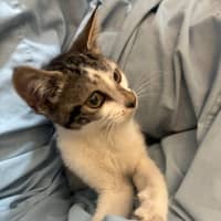 Photo of Polly