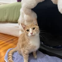 Photo of Simon