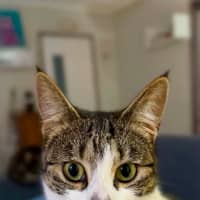 Photo of Abby
