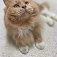 Photo of Garth (0030)