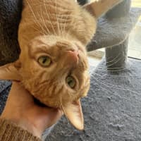 Photo of Boots