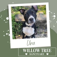 Photo of Una