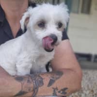 Photo of Murphy
