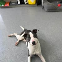 Photo of Zippy! 🪀