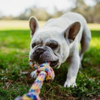 Photo of Bee O’cleary