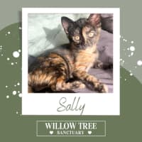 Photo of Sally