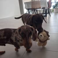 Photo of Bodie