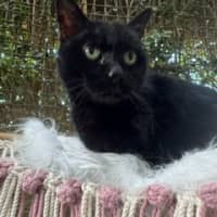 Photo of Molly