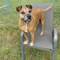 Photo of Rosie