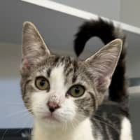 Photo of Amity (9967)