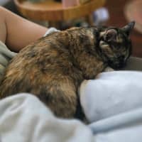 Photo of Baby