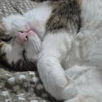 Photo of Tompy