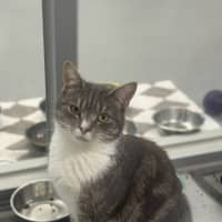 Photo of Tuki