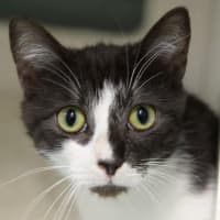 Photo of Jill