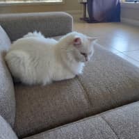 Photo of Bella