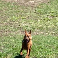 Photo of Nacho