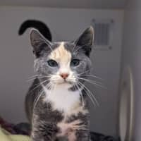 Photo of Betty