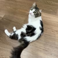 Photo of Duchess