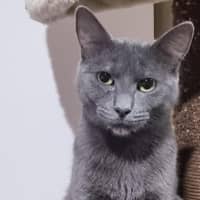 Photo of Sassy