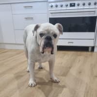 Photo of Stormin Normin