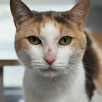 Photo of Lucy 