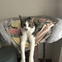 Photo of Jerry Freckle