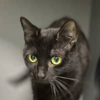 Photo of Faye