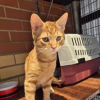 Photo of Monkey! 🦧 