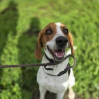 Photo of Wally
