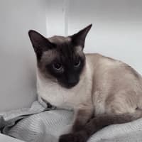 Photo of George 