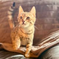 Photo of Raindrop   In Foster Care In Templestowe